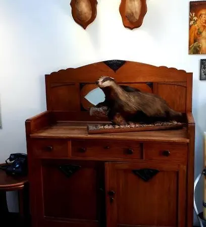 Onthaast & Geniet! * Den Helder