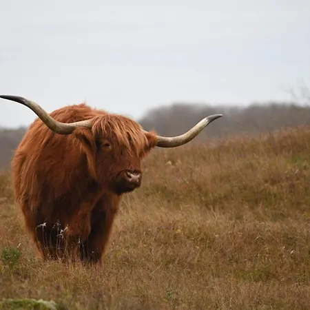 Apartamento Onthaast & Geniet! Den Helder