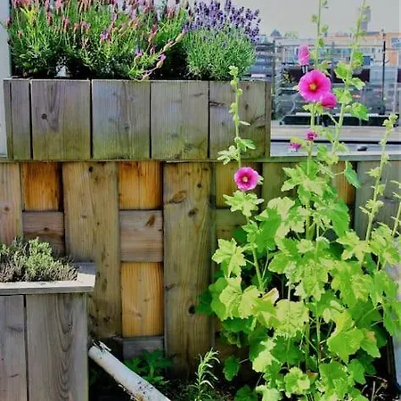 Onthaast & Geniet! Daire *