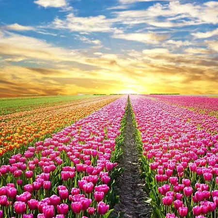 Onthaast & Geniet! Daire *