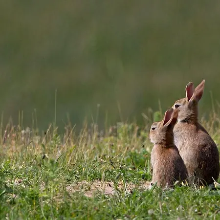 Onthaast & Geniet! Daire